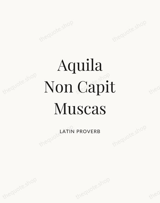 Aquila Non Capit Muscas — Latin Proverb | Printable Wall Art — Atelier Serif
