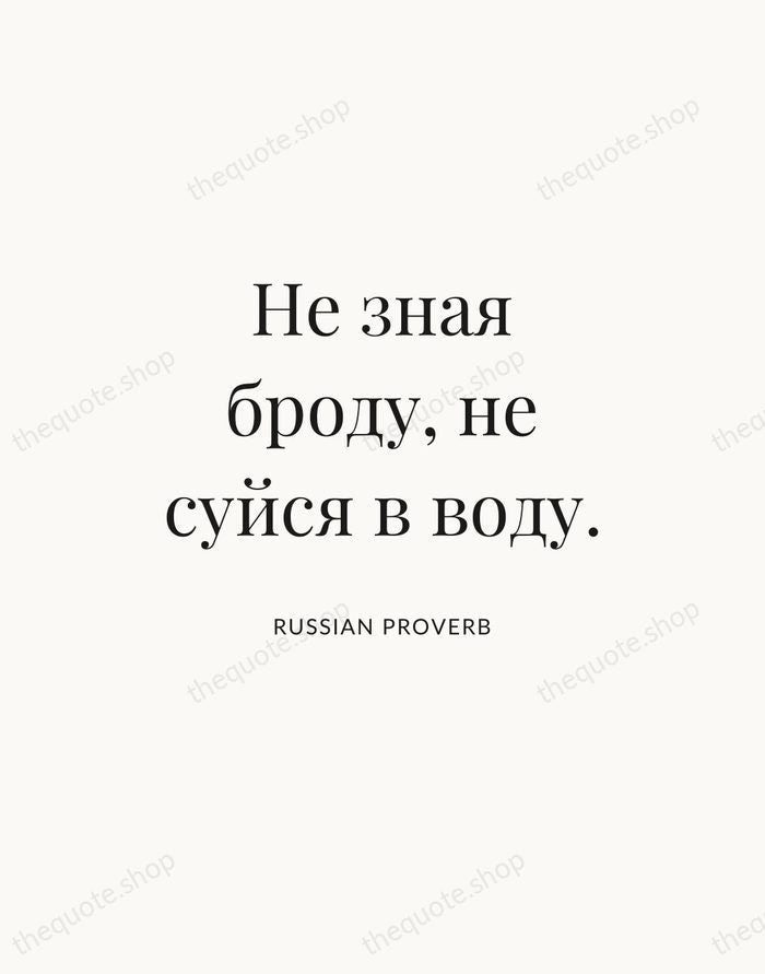 Не зная броду, не суйся в воду. — Russian Proverb — Statement Serif