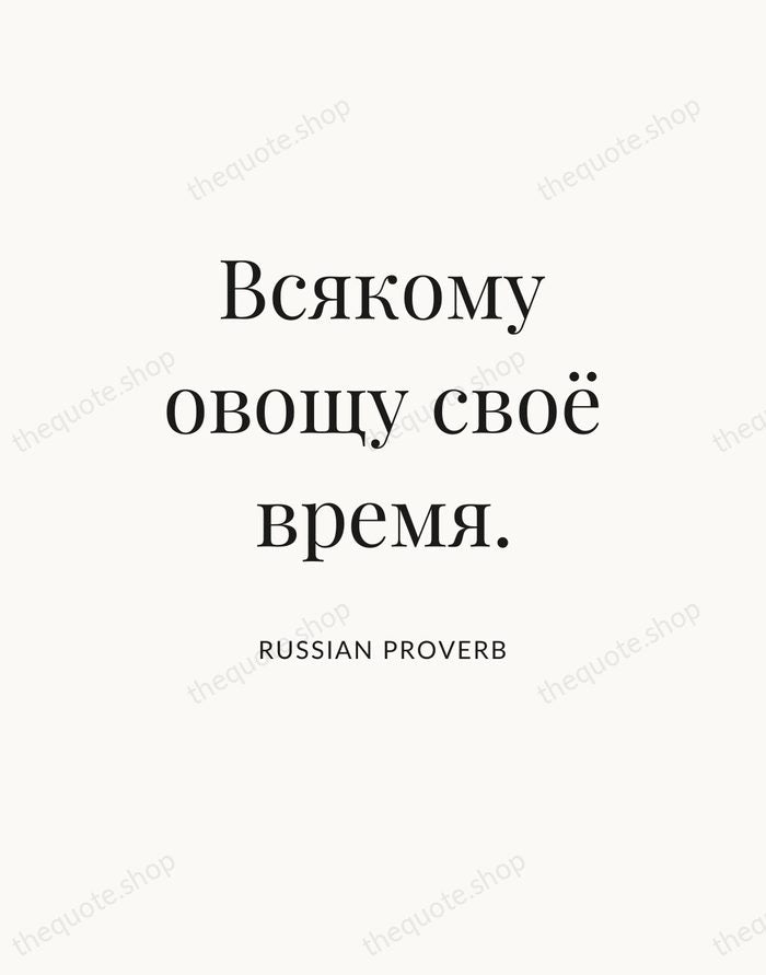 Всякому овощу своё время. — Russian Proverb — Statement Serif