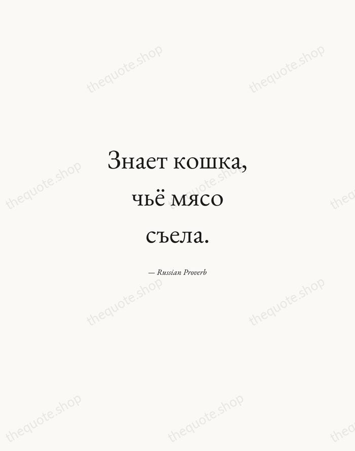 Знает кошка, чьё мясо съела. — Russian Proverb — Quiet Garamond