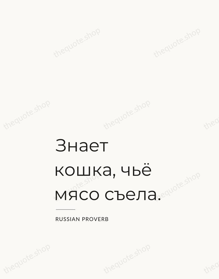 Знает кошка, чьё мясо съела. — Russian Proverb — Studio Left