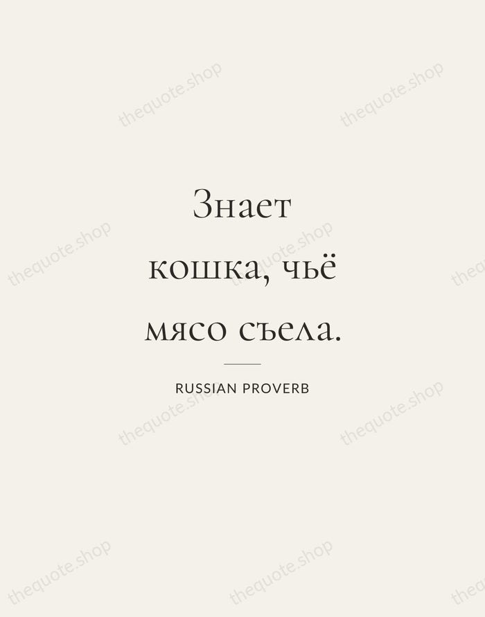 Знает кошка, чьё мясо съела. — Russian Proverb — Gallery Rule