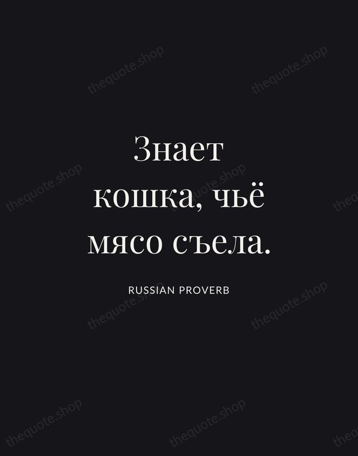 Знает кошка, чьё мясо съела. — Russian Proverb | Printable Wall Art — Midnight Serif