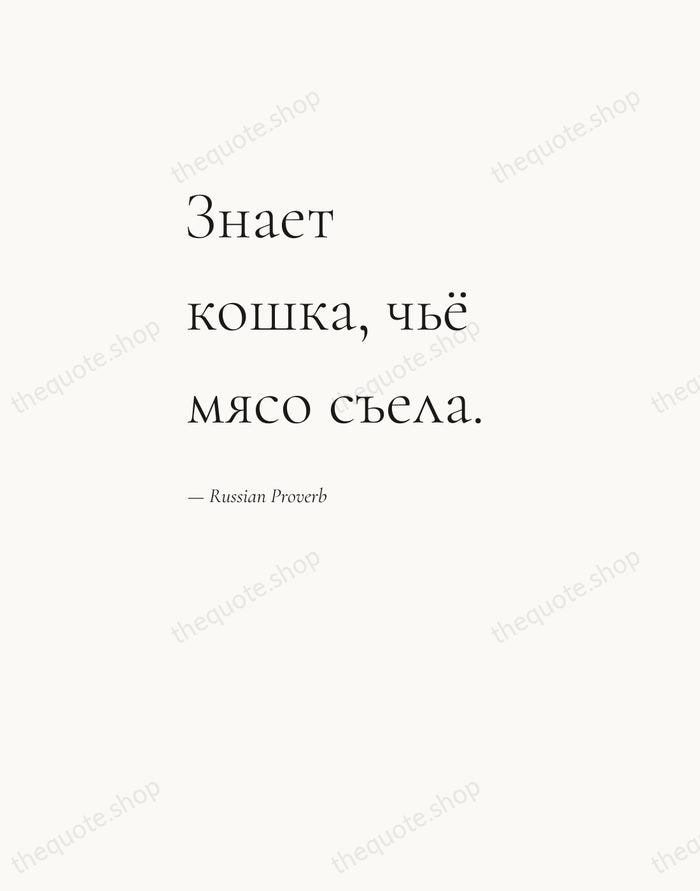 Знает кошка, чьё мясо съела. — Russian Proverb — Editorial Left Serif