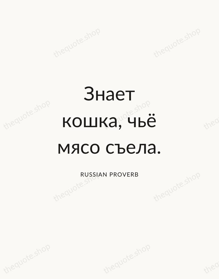 Знает кошка, чьё мясо съела. — Russian Proverb — Modern Sans Calm