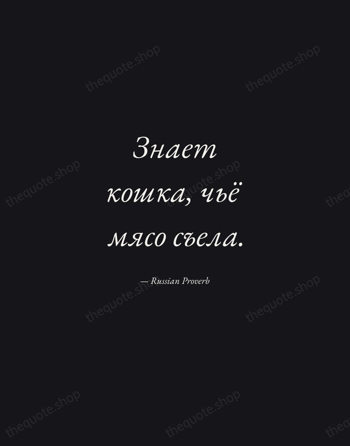 Знает кошка, чьё мясо съела. — Russian Proverb — Manuscript Italic