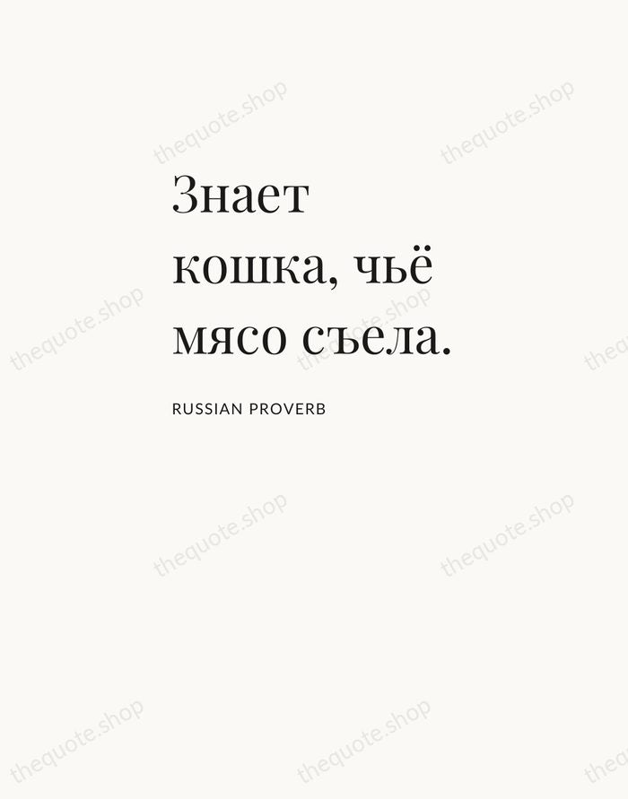 Знает кошка, чьё мясо съела. — Russian Proverb — Asymmetric Left