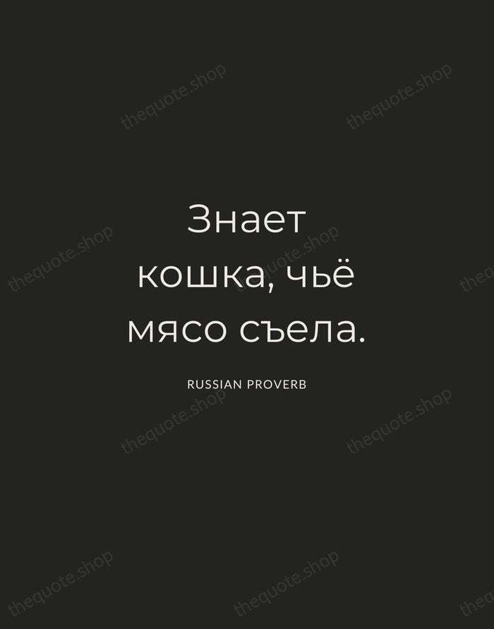 Знает кошка, чьё мясо съела. — Russian Proverb — Charcoal Sans