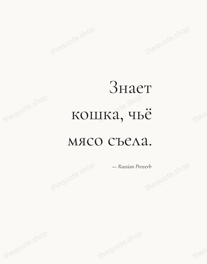 Знает кошка, чьё мясо съела. — Russian Proverb — Soft Serif Right
