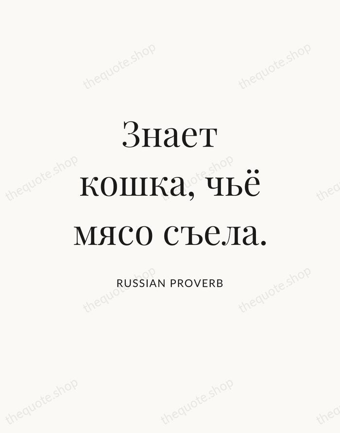 Знает кошка, чьё мясо съела. — Russian Proverb — Statement Serif