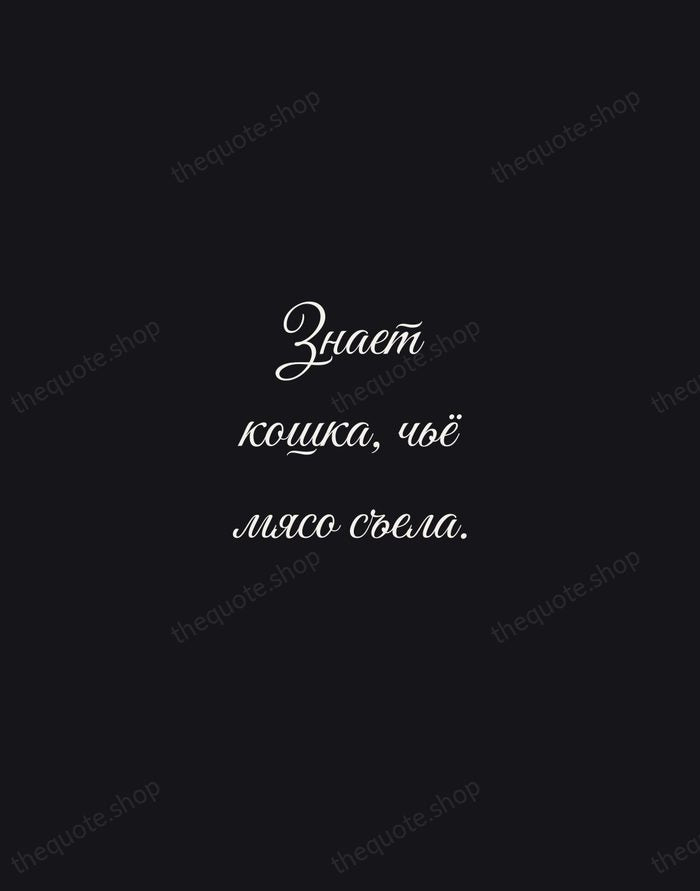 Знает кошка, чьё мясо съела. — Russian Proverb — Night Script