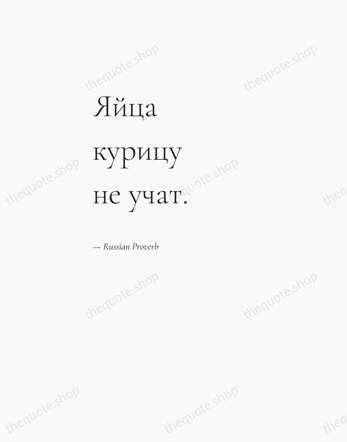 Яйца курицу не учат. — Russian Proverb — Editorial Left Serif