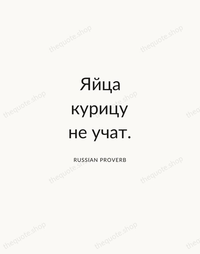 Яйца курицу не учат. — Russian Proverb — Modern Sans Calm