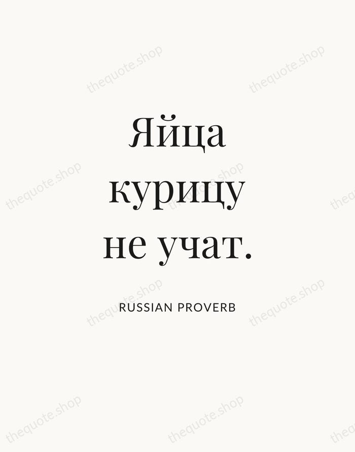 Яйца курицу не учат. — Russian Proverb — Statement Serif