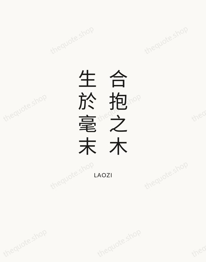 合抱之木，生於毫末 — Laozi — Modern Sans Calm