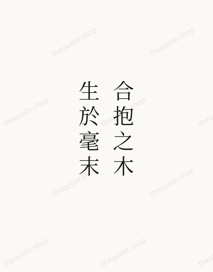 合抱之木，生於毫末 — Laozi — Script Whisper