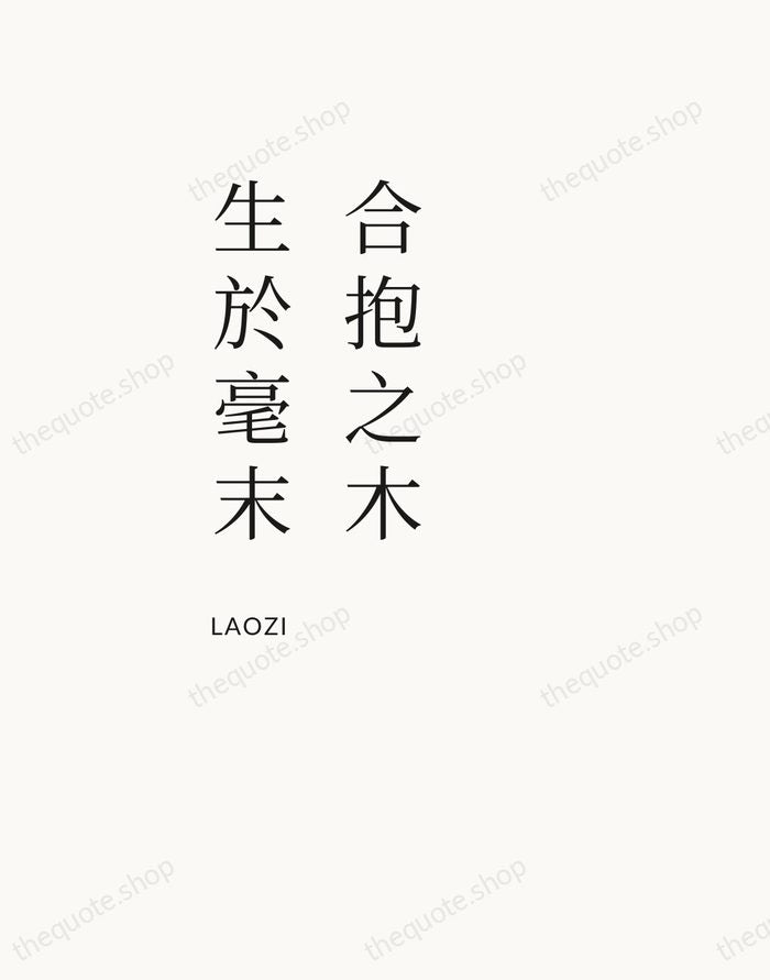 合抱之木，生於毫末 — Laozi — Asymmetric Left