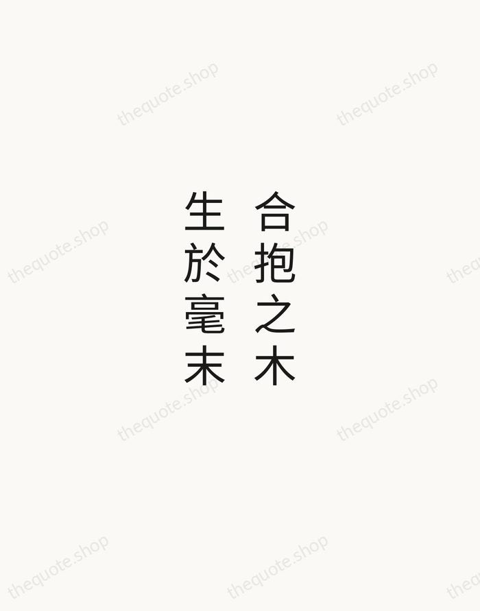 合抱之木，生於毫末 — Laozi — Minimal Unsigned