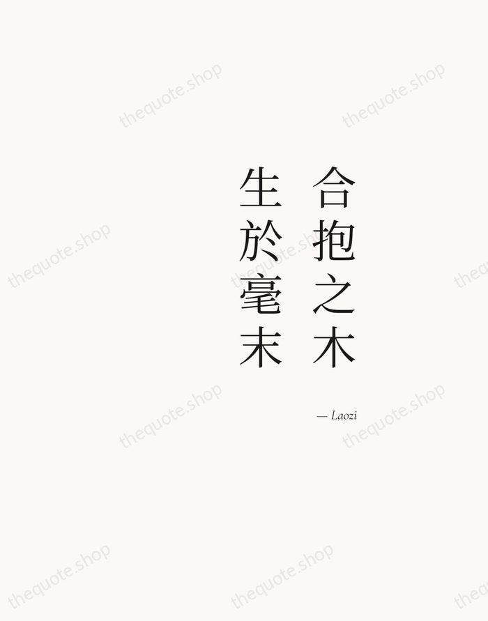 合抱之木，生於毫末 — Laozi — Soft Serif Right