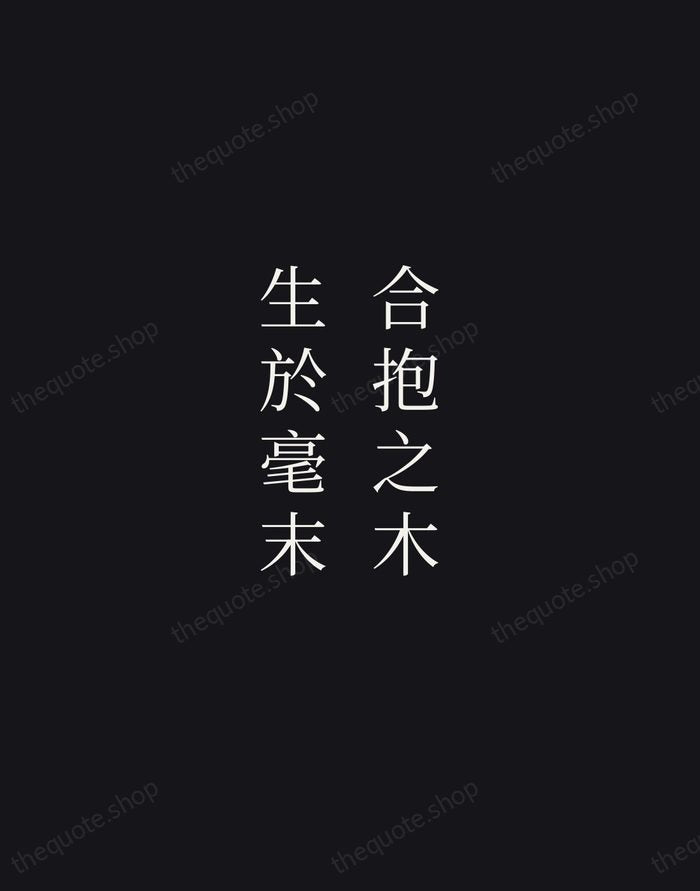 合抱之木，生於毫末 — Laozi — Night Script
