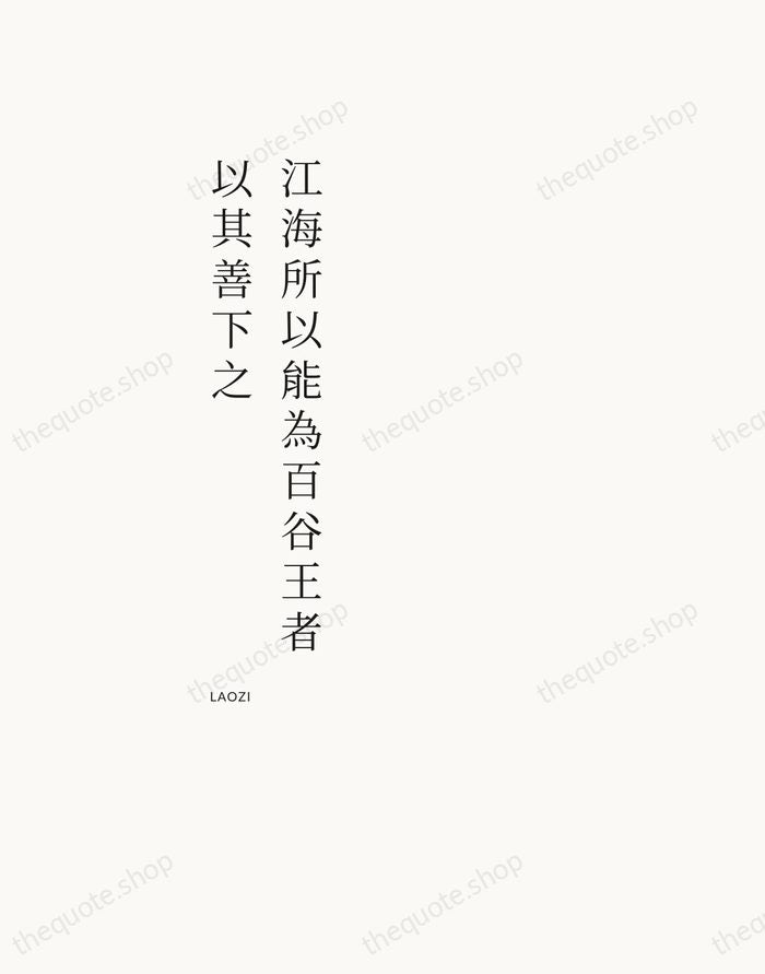 江海所以能為百谷王者，以其善下之 — Laozi — Asymmetric Left