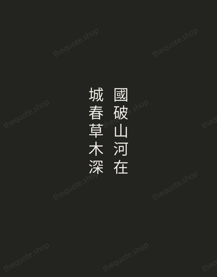 國破山河在，城春草木深 — Du Fu — Tracked Caps Unsigned