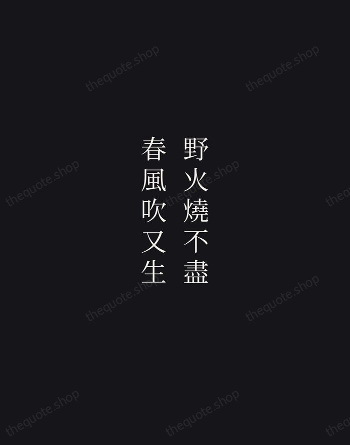 野火燒不盡，春風吹又生 — Bai Juyi — Night Script