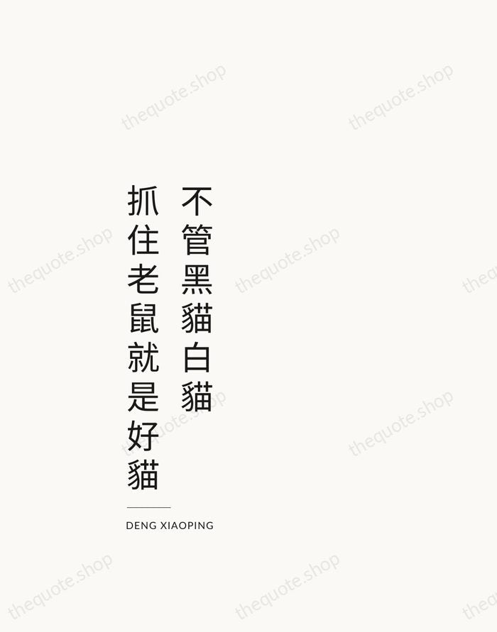 不管黑貓白貓，抓住老鼠就是好貓 — Deng Xiaoping — Studio Left