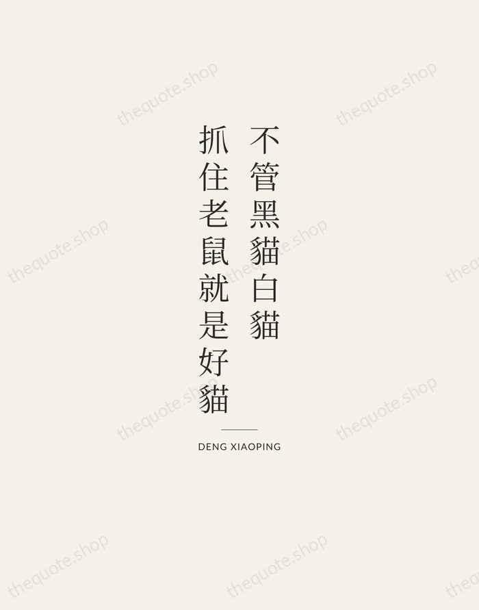 不管黑貓白貓，抓住老鼠就是好貓 — Deng Xiaoping — Gallery Rule