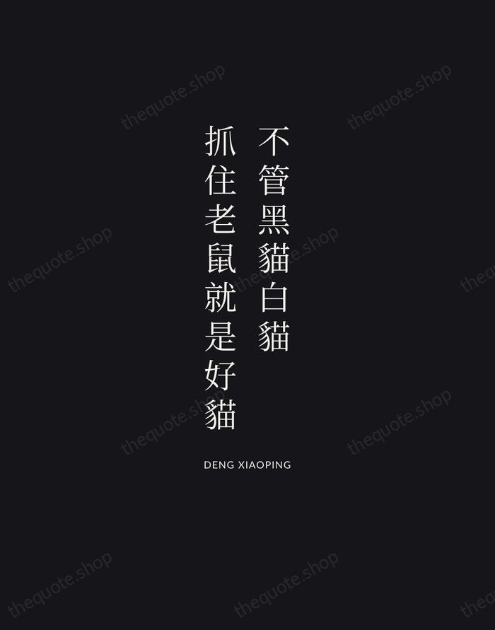 不管黑貓白貓，抓住老鼠就是好貓 — Deng Xiaoping | Printable Wall Art — Midnight Serif