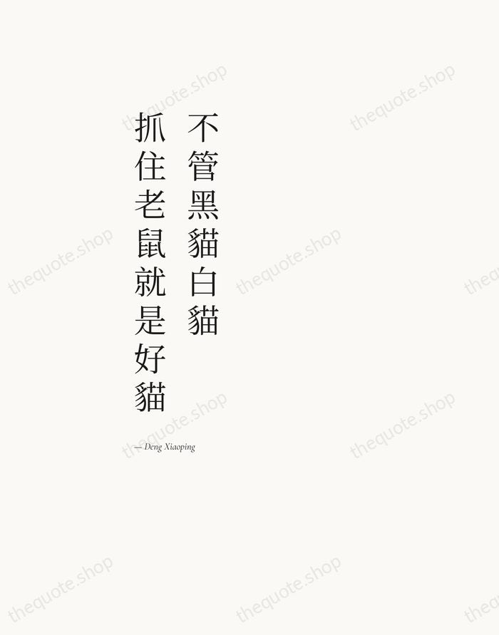 不管黑貓白貓，抓住老鼠就是好貓 — Deng Xiaoping — Editorial Left Serif