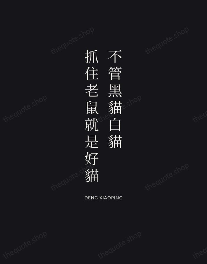 不管黑貓白貓，抓住老鼠就是好貓 — Deng Xiaoping | Printable Wall Art — Poster Condensed
