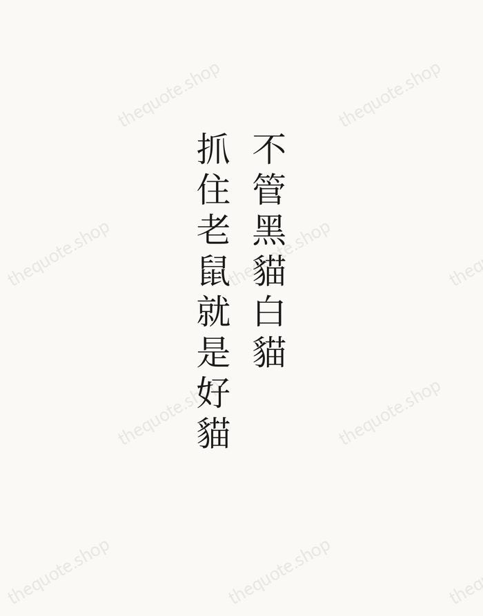 不管黑貓白貓，抓住老鼠就是好貓 — Deng Xiaoping — Script Whisper