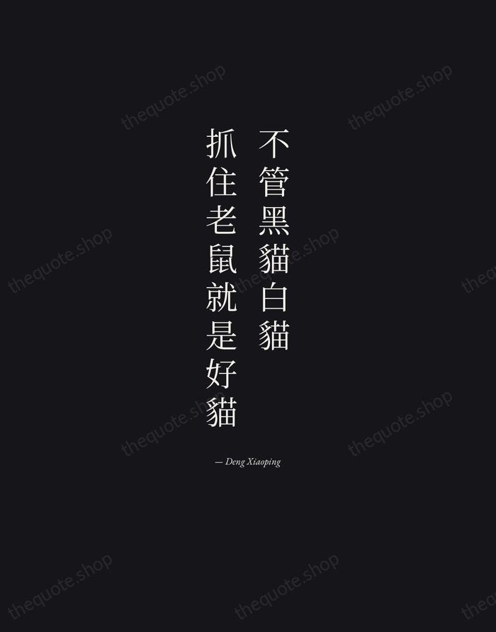 不管黑貓白貓，抓住老鼠就是好貓 — Deng Xiaoping — Manuscript Italic