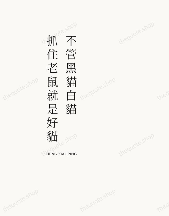 不管黑貓白貓，抓住老鼠就是好貓 — Deng Xiaoping — Asymmetric Left