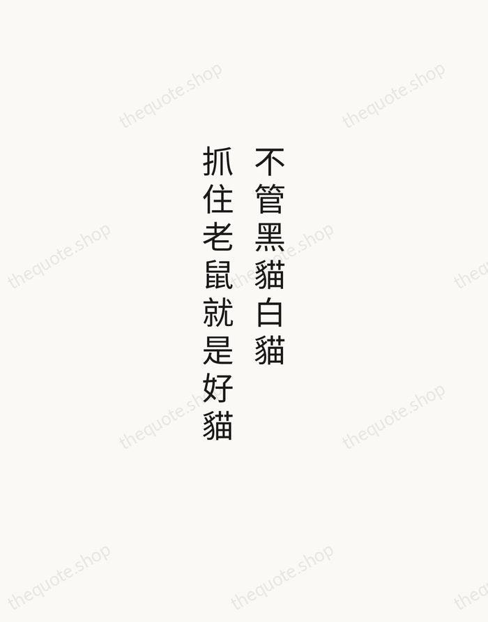 不管黑貓白貓，抓住老鼠就是好貓 — Deng Xiaoping — Minimal Unsigned