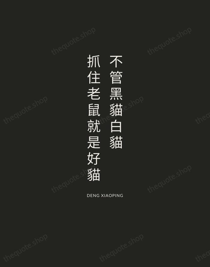 不管黑貓白貓，抓住老鼠就是好貓 — Deng Xiaoping — Charcoal Sans