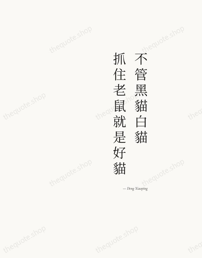 不管黑貓白貓，抓住老鼠就是好貓 — Deng Xiaoping — Soft Serif Right