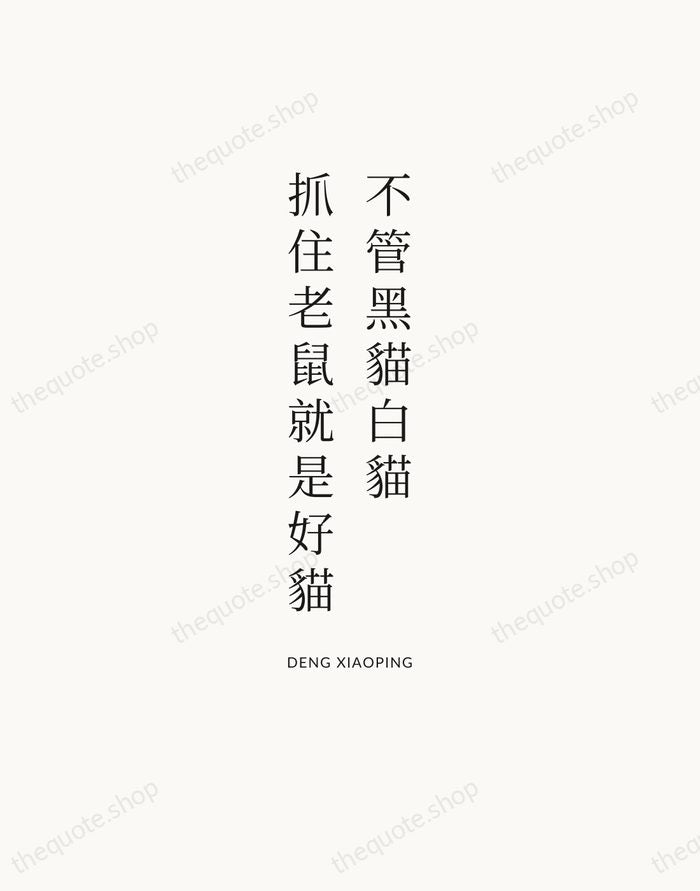 不管黑貓白貓，抓住老鼠就是好貓 — Deng Xiaoping — Statement Serif