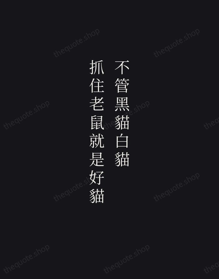 不管黑貓白貓，抓住老鼠就是好貓 — Deng Xiaoping — Night Script