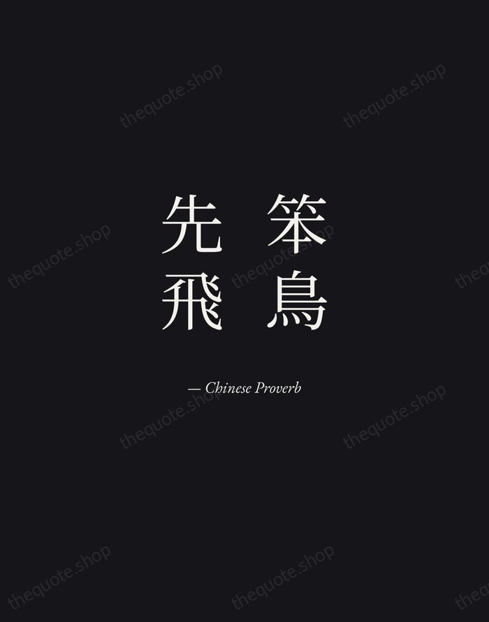 笨鳥先飛 — Chinese Proverb — Manuscript Italic