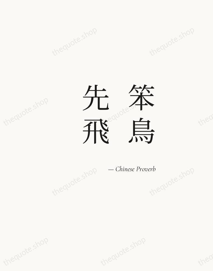 笨鳥先飛 — Chinese Proverb — Soft Serif Right