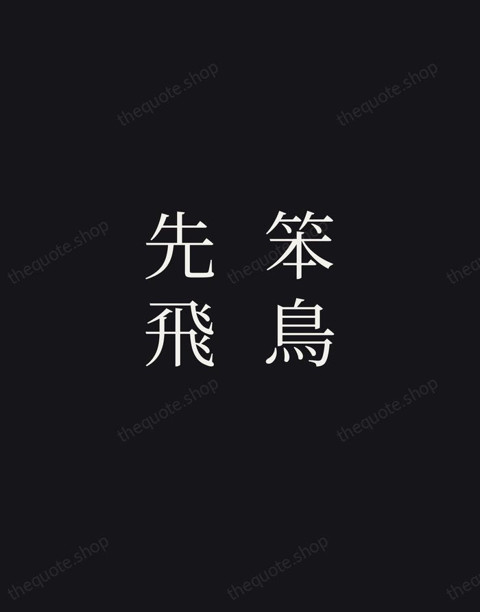 笨鳥先飛 — Chinese Proverb — Night Script