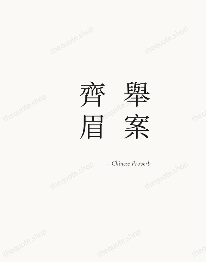 舉案齊眉 — Chinese Proverb — Soft Serif Right